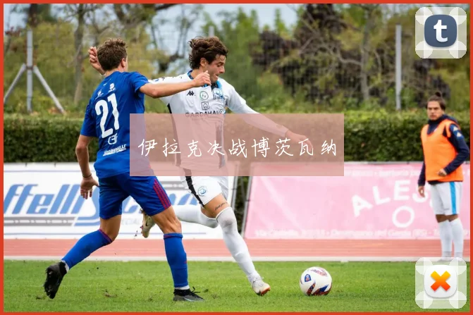 伊拉克决战博茨瓦纳