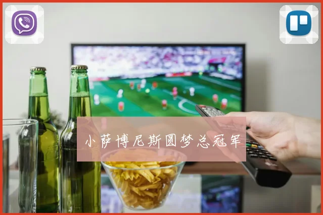 小萨博尼斯圆梦总冠军