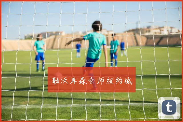 勒沃库森会师纽约城