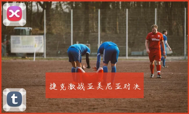 捷克激战亚美尼亚对决