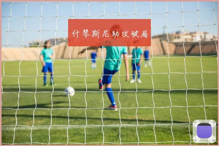 什琴斯尼助攻破局