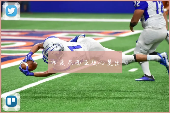 印度尼西亚核心复出