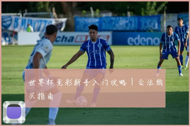 世界杯竞彩新手入门攻略|合法购买指南