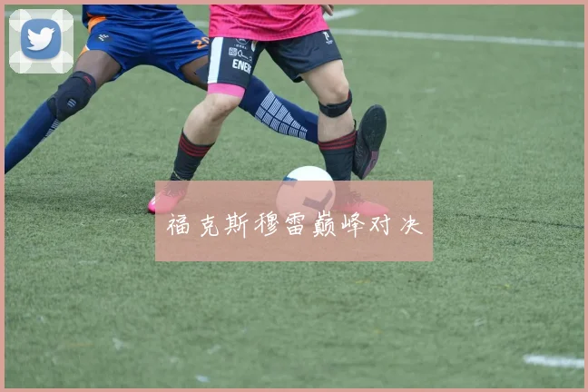 福克斯穆雷巅峰对决