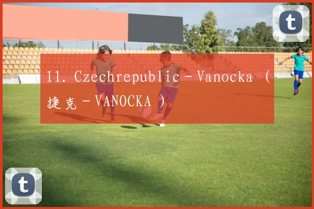 11. Czechrepublic - Vanocka (捷克 - VANOCKA )