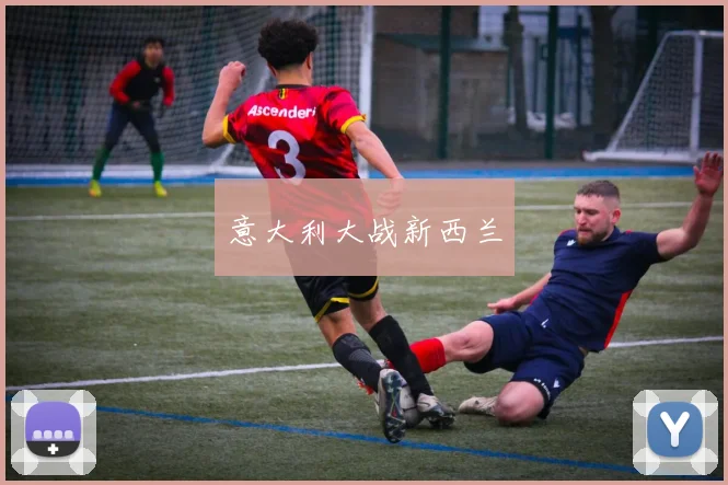 意大利大战新西兰
