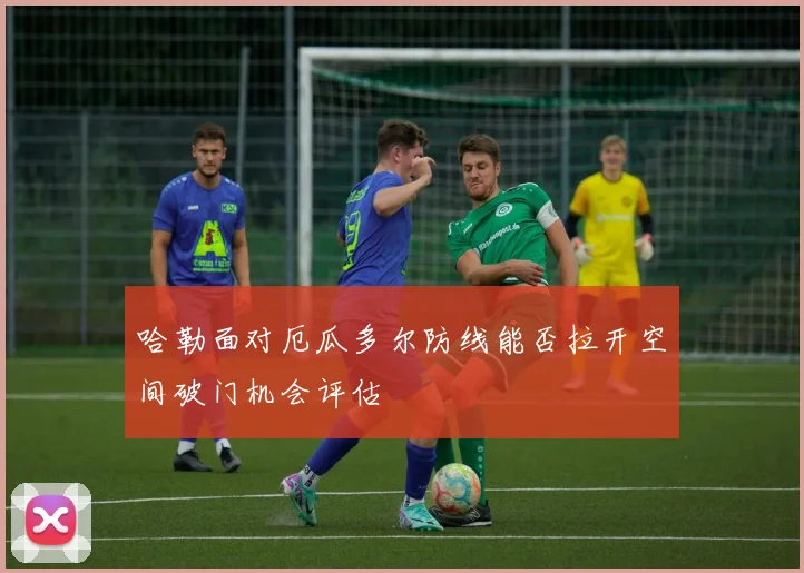 哈勒面对厄瓜多尔防线能否拉开空间破门机会评估