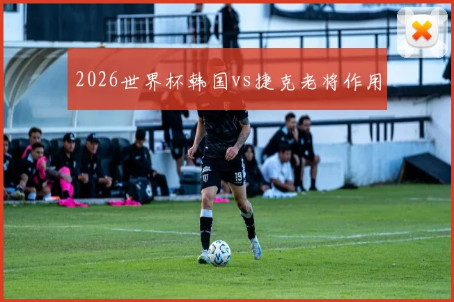 2026世界杯韩国vs捷克老将作用