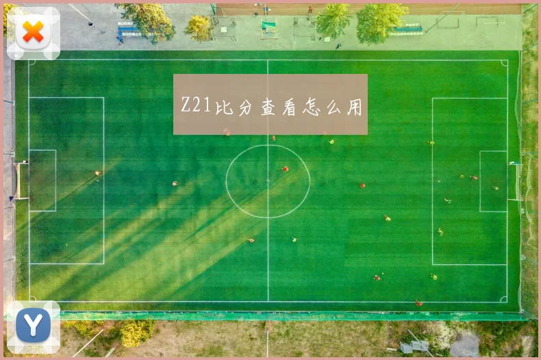 Z21比分查看怎么用