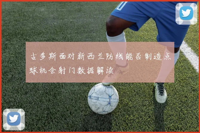 古多斯面对新西兰防线能否制造点球机会射门数据解读