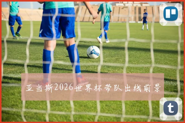 亚当斯2026世界杯带队出线前景
